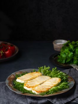 Grilled Halloumi, fried cheese with lettuce salad. Balanced diet on dark background, side view, vertical, copy space