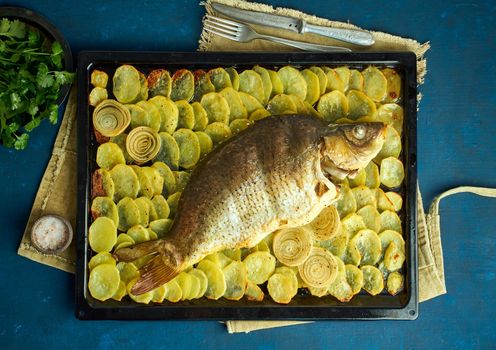 Baked carp, whole fish from the oven with sliced potatoes on a large tray on dark blue background. Traditional European Polish dish, suitable for a Christmas table