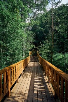 wooden stairs among the trees, summer nature, rest in the country, vertical