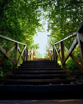 path, road from darkness to light, blue sky, a wooden ladder among trees, summer nature