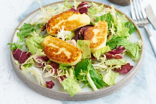 Cyprus fried halloumi with healthy salad mix. Lchf, pegan, fodmap, paleo, scd, keto, ketogenic diet. Balanced food, clean eating recipe. Close up, white background, side view