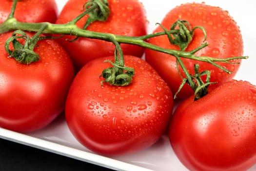 Red tomatoes on white plate with water drops. Fresh tomatoes