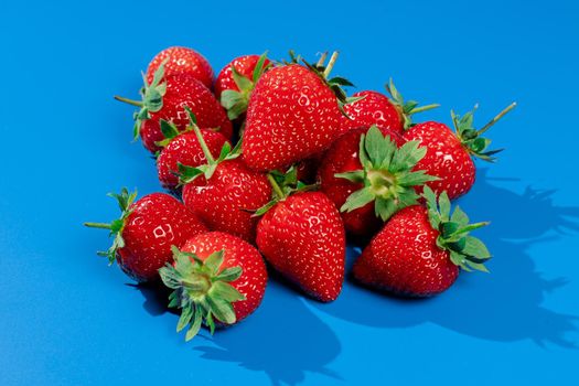 Bunch of strawberries on blue background. Red berry summer seasonal fruit