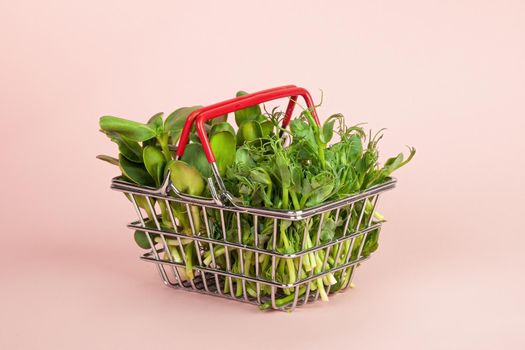 Micro greens in a basket on a pink background. Sale of various types of microgreens. The concept of healthy eating from fresh garden products grown organically a symbol of health Vitamins from nature.