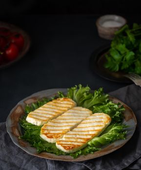 Grilled Halloumi, fried cheese with lettuce salad. Balanced diet on dark background, side view, vertical