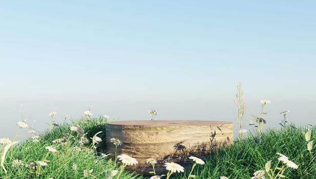 3d rendering of stone podium and grass