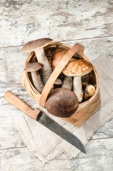 Wild mushrooms in basket. From the series "Mushrooms in our kitchen"