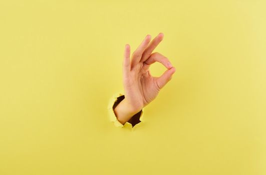 female making an okey ok sign with fingers, concept of expressing emotions with hands