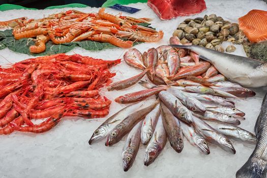 Fish, crustaceans and seafood for sale at a market in Barcelona