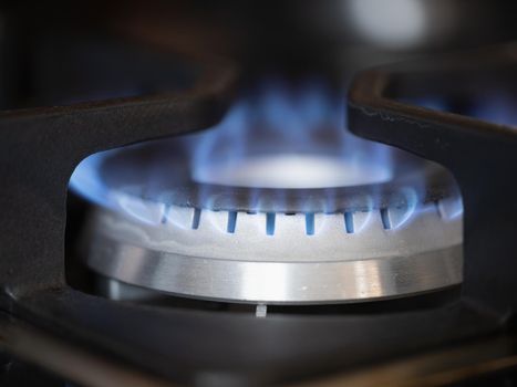 Gas burner on stove with blue fire at home closeup. Gas price regulation concept