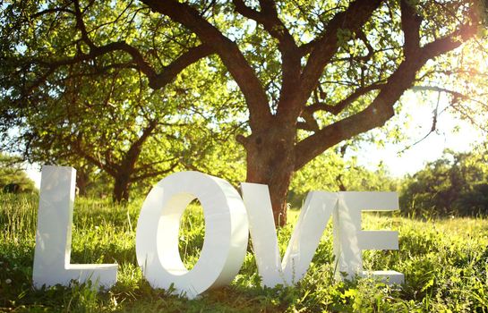 Word Love under the tree