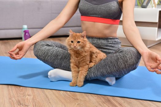 Beautiful young woman in yoga posing with red cat indoor in flat.