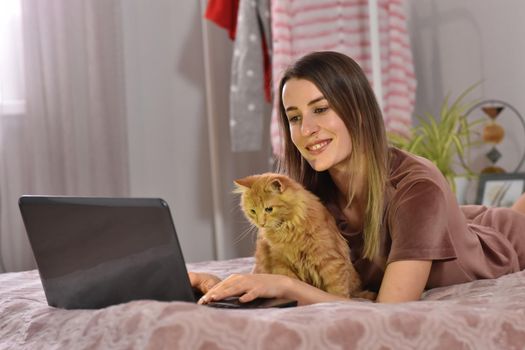 Young caucasian brunette businesswoman working at home using laptop while caressing pet red cat