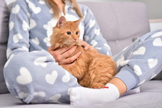 Young caucasian brunette businesswoman working at home using laptop while caressing pet red cat