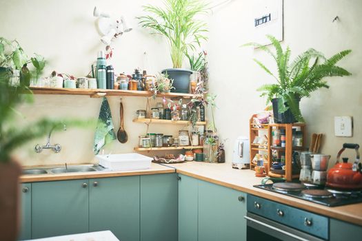 Still shot of an beautiful homey apartment kitchen