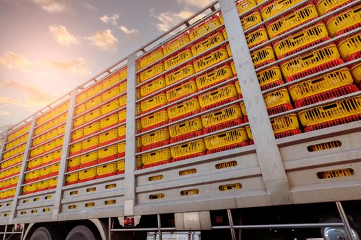 Chicken transport by truck from livestock farm to food factory. Poultry industry. Avian influenza A(H5) virus or H5 bird flu concept. Livestock transport by trailer. Chicken in yellow plastic crates.