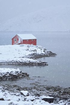 Traditional red rorbu house on fjord shore with heavy snow in winter. Lofoten islands, Norway