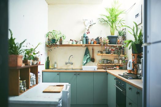 Still shot of an beautiful homey apartment kitchen