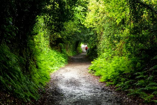 Two backpackers on a dirt road during a journey