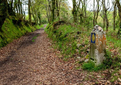 Road sign of Camino de Santiago, pilgrimage route to the Cathedral of Santiago de Compostela