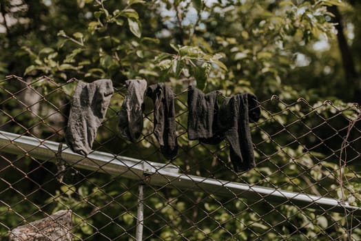 old black and gray socks are dried on a steel metal wire. fence. Against the background green leaves with a cherry tree.