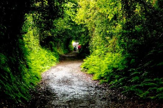 Two backpackers on a dirt road during a journey