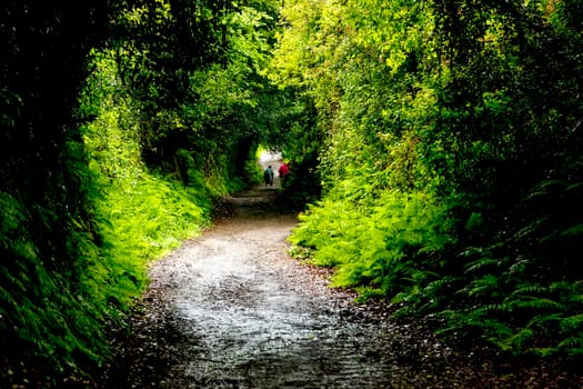 Two backpackers on a dirt road during a journey