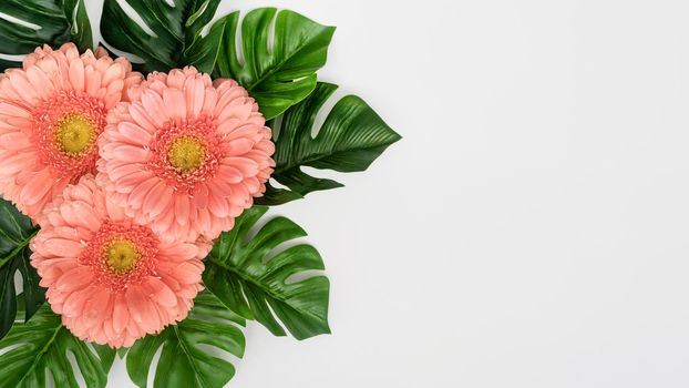 monstera leaves with gerbera flowers