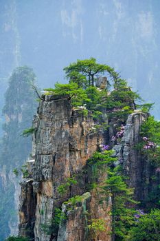 Famous tourist attraction of China - Zhangjiajie stone pillars cliff mountains on sunset at Wulingyuan, Hunan, China