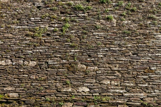 Old stone wall with green moss background