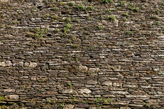 Old stone wall with green moss background