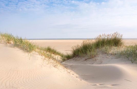 dunes with marram grass and empty beach on dutch island of texel on sunny day with blue sky in summer