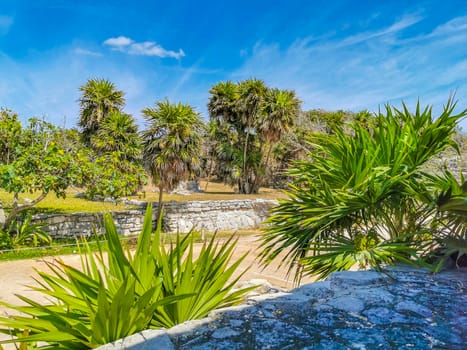 Ancient Tulum ruins Mayan site with temple ruins pyramids and artifacts in the tropical natural jungle forest palm and seascape panorama view in Tulum Mexico.