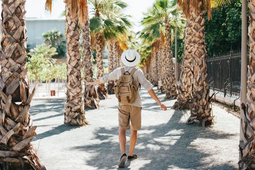 traveler walking through palm trees