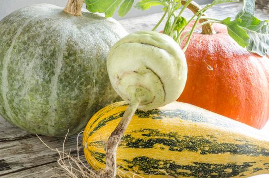 Fresh vegetables on old wooden table, macro. From the series "Autumn vegetables"