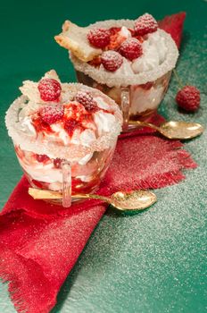 Christmas dessert in a glass with decoration. blurred background. From series "Cranberry-raspberry trifle"