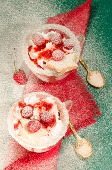 Christmas dessert in a glass with decoration. From series "Cranberry-raspberry trifle"