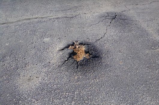 A tree is trying to grow through the asphalt. City Park.