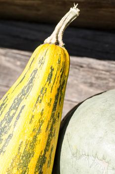 Fresh vegetables on old rustic background. From the series "Autumn vegetables"