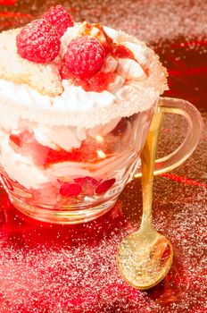 Christmas dessert in a glass with decoration. From series "Cranberry-raspberry trifle"