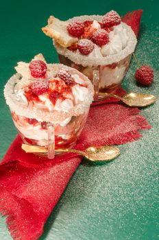 Christmas dessert in a glass with decoration. From series "Cranberry-raspberry trifle"