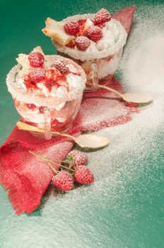 Christmas dessert in a glass with decoration. From series "Cranberry-raspberry trifle"