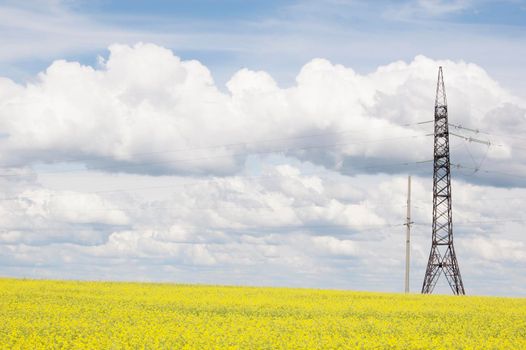 Field of flowering oilseed rape and power line on a background of clouds