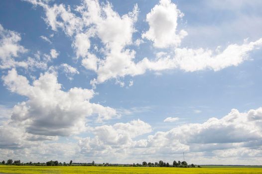 Field of flowering oilseed rape and power line on a background of clouds