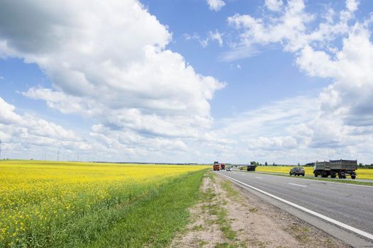 Field of flowering oilseed rape and power line on a background of clouds