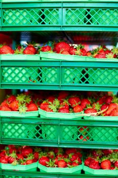Crates of fresh ripe strawberries on grocery store shelves.