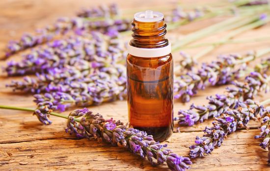 Lavender essential oil in a small bottle. Selective focus. nature.