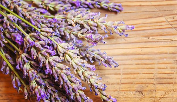 Lavender essential oil in a small bottle. Selective focus.