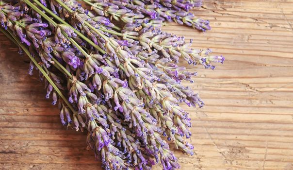 Lavender essential oil in a small bottle. Selective focus.