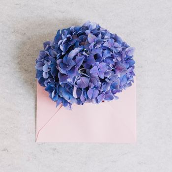 purple hydrangea flower pink envelope against rough backdrop